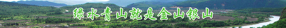 綠水青山就是金山銀山